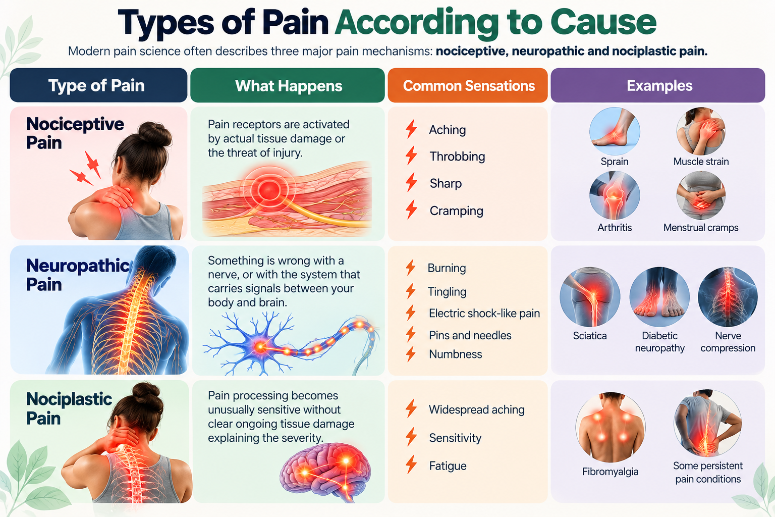 Types of Pain According to Cause