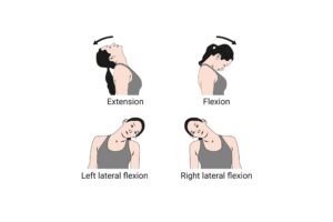 Yoga for Neck Pain(Neck V Rotation)