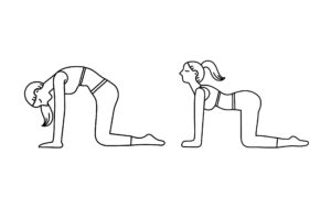 Yoga Poses for Lower Back Pain (Cat and cow stretch)