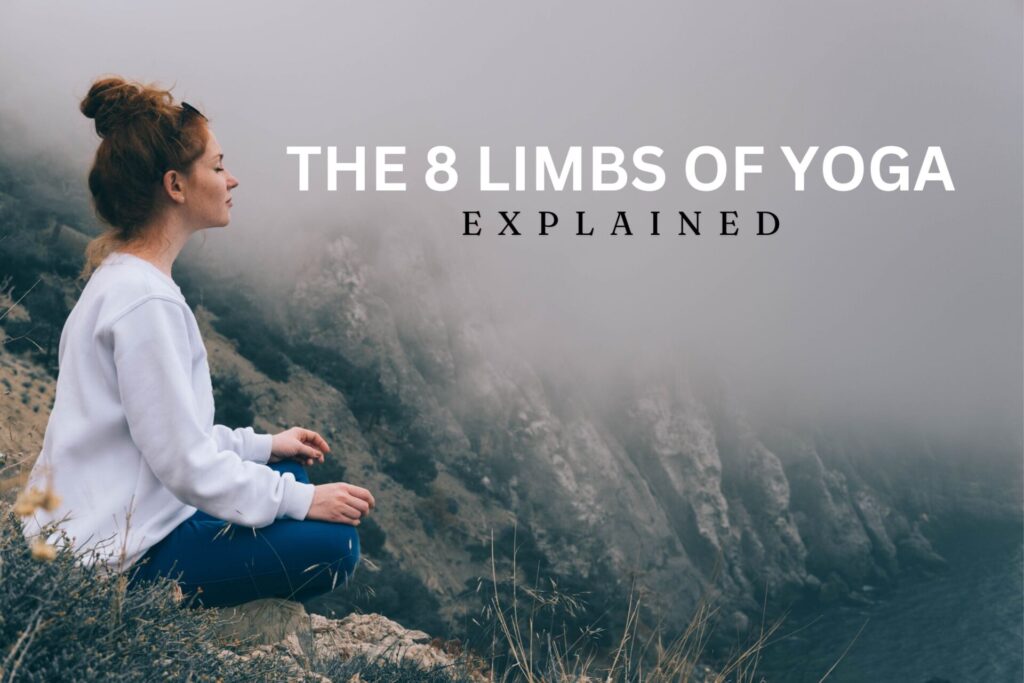 the 8 limbs of yoga explained