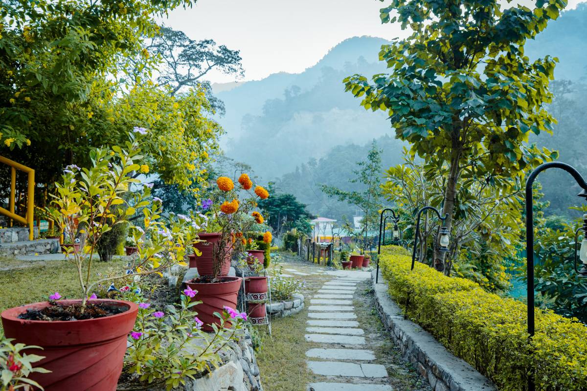 Students of Nirvana Yoga School